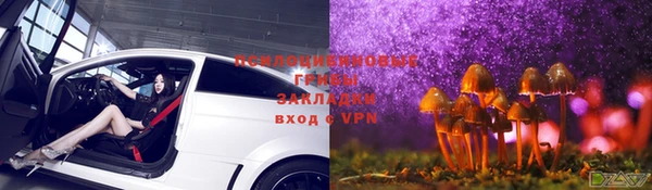 каннабис Алексеевка